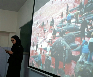 مطالعات اجتماعی
